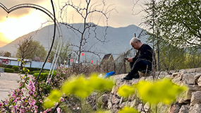 《油菜花兒開》 郝志明